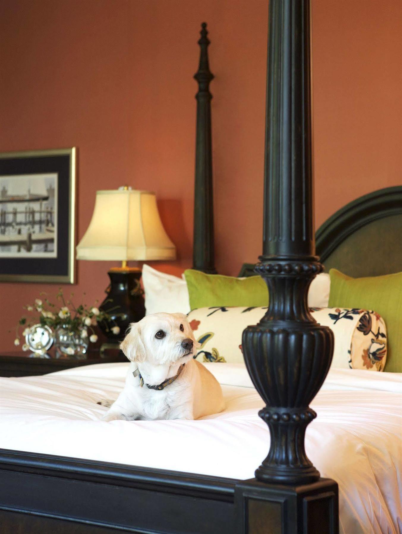Delamar Southport ภายนอก รูปภาพ
